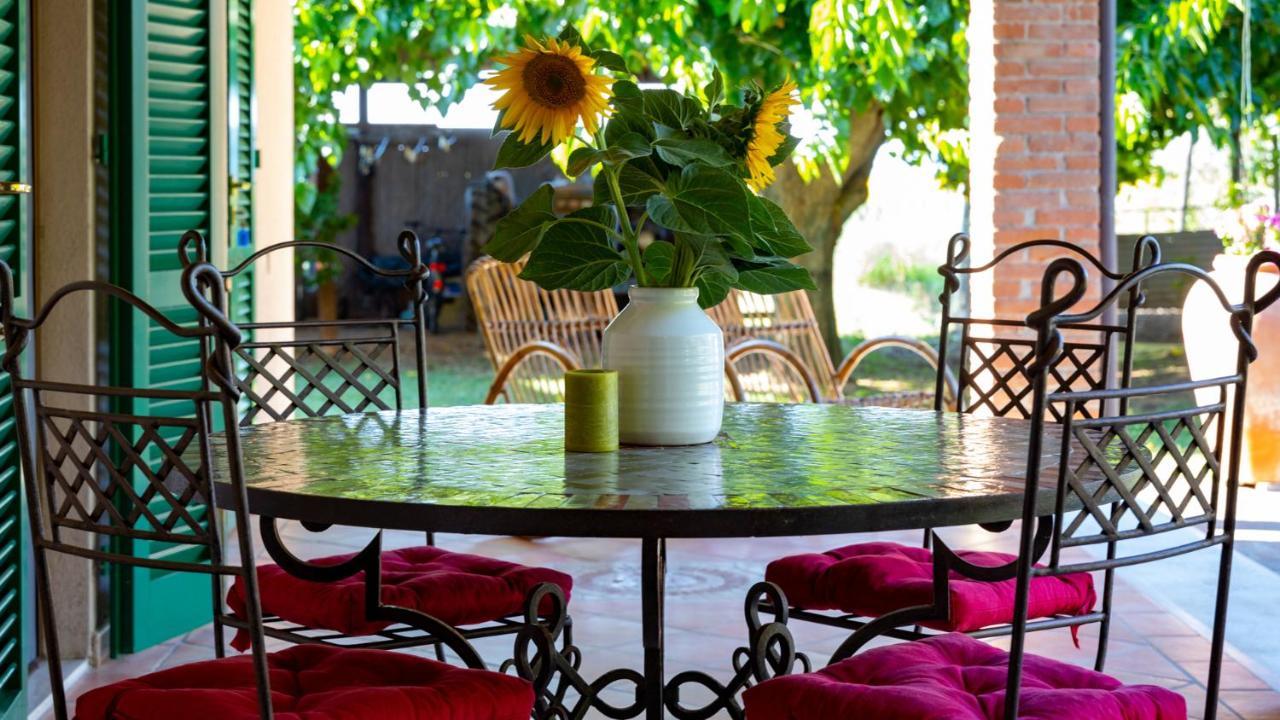 Agriturismo Salcino Grosseto Exterior foto