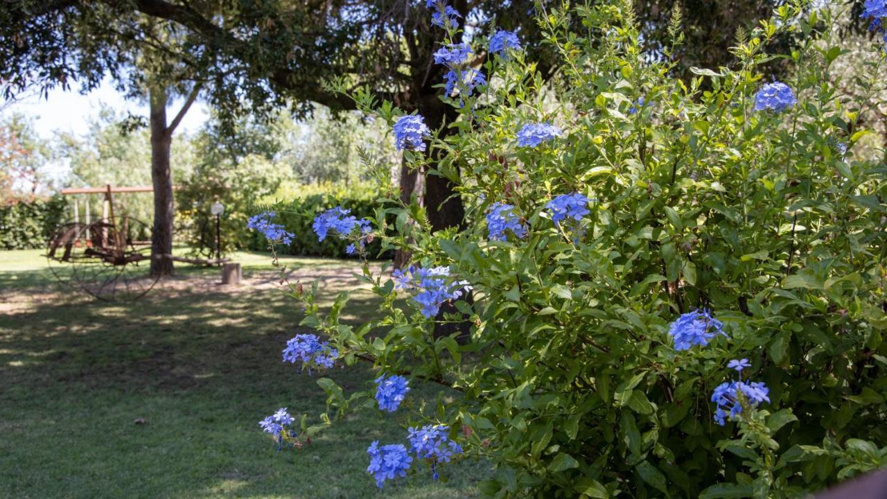 Agriturismo Salcino Grosseto Exterior foto
