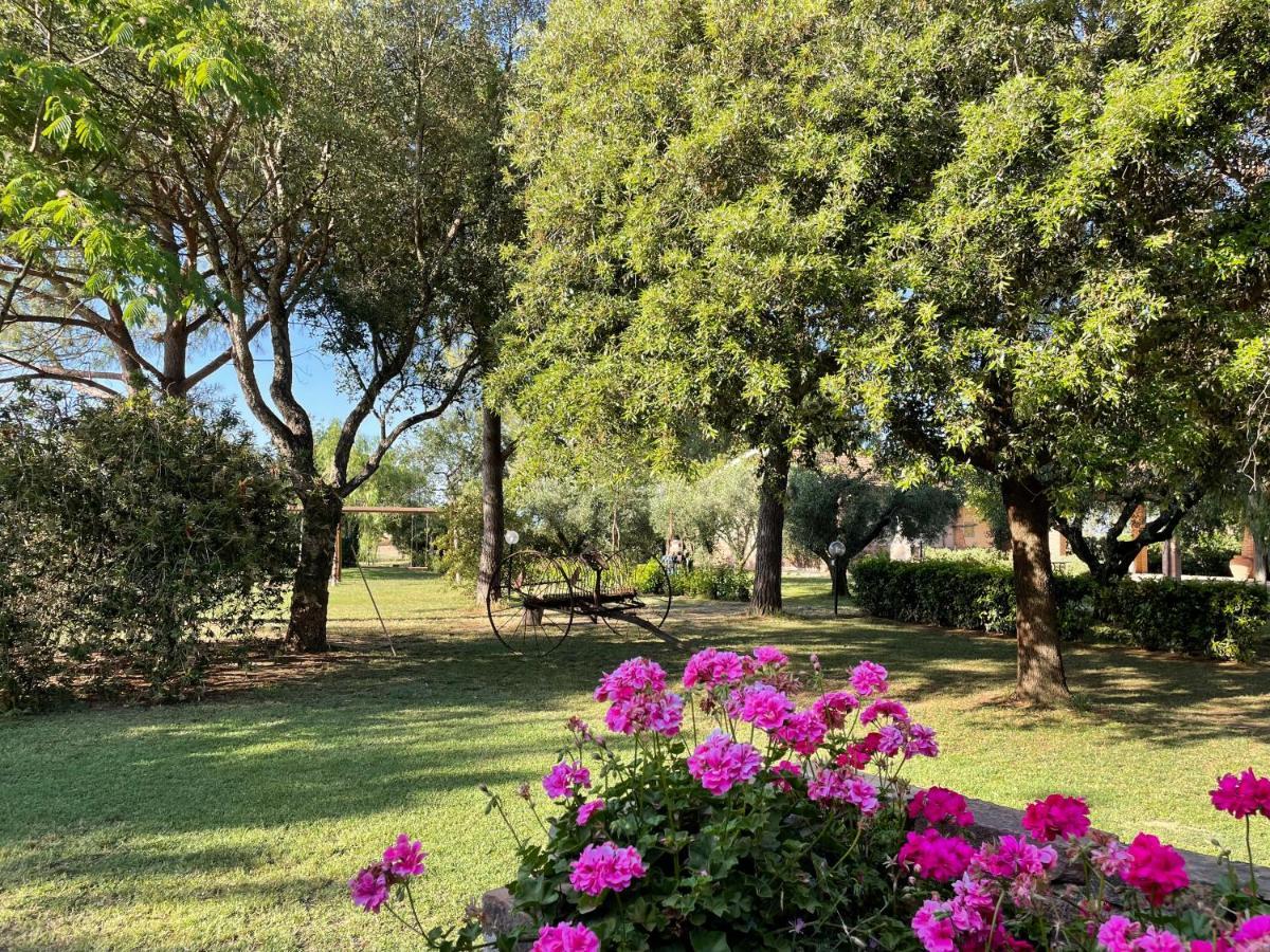 Agriturismo Salcino Grosseto Exterior foto