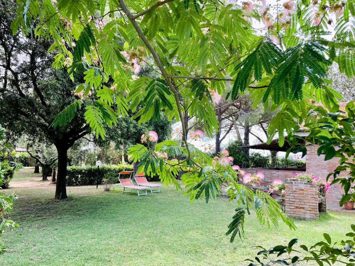 Agriturismo Salcino Grosseto Exterior foto