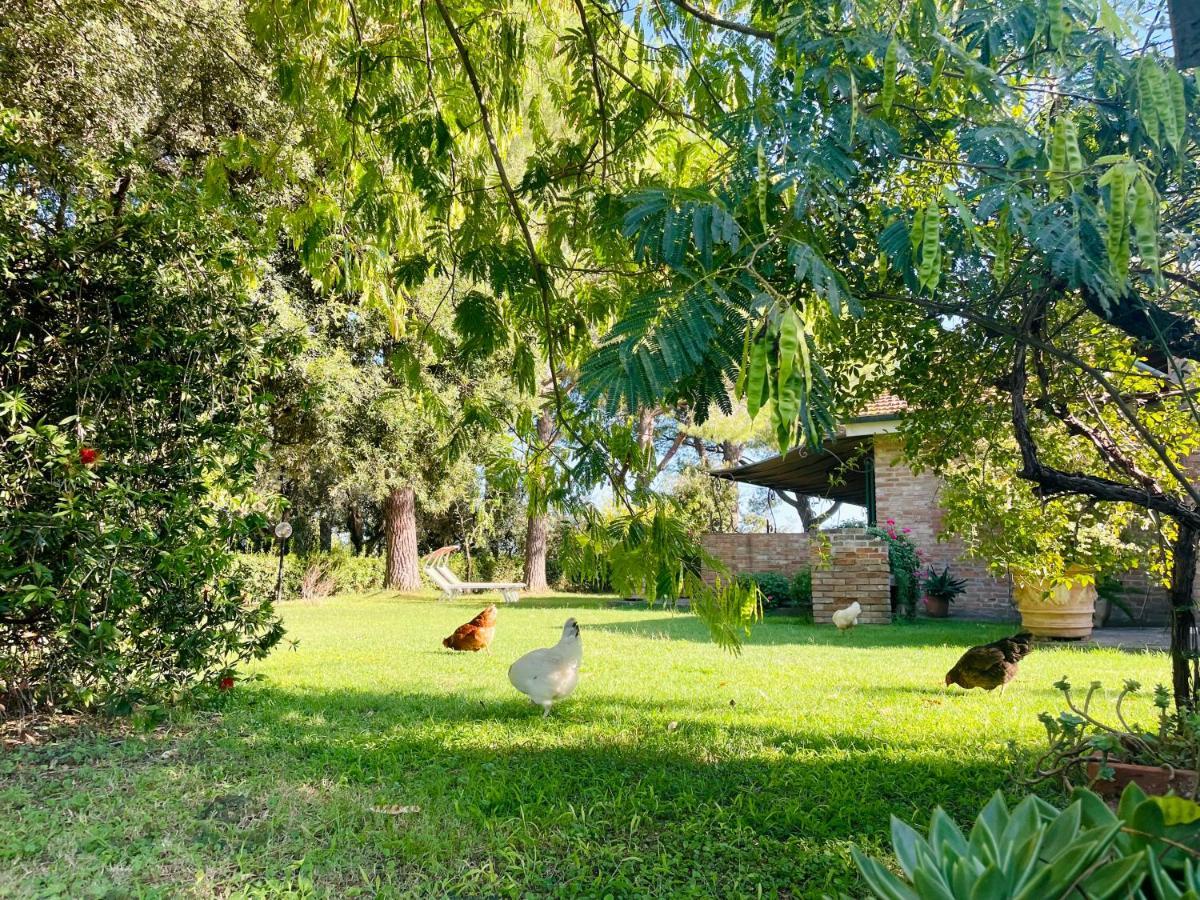 Agriturismo Salcino Grosseto Exterior foto