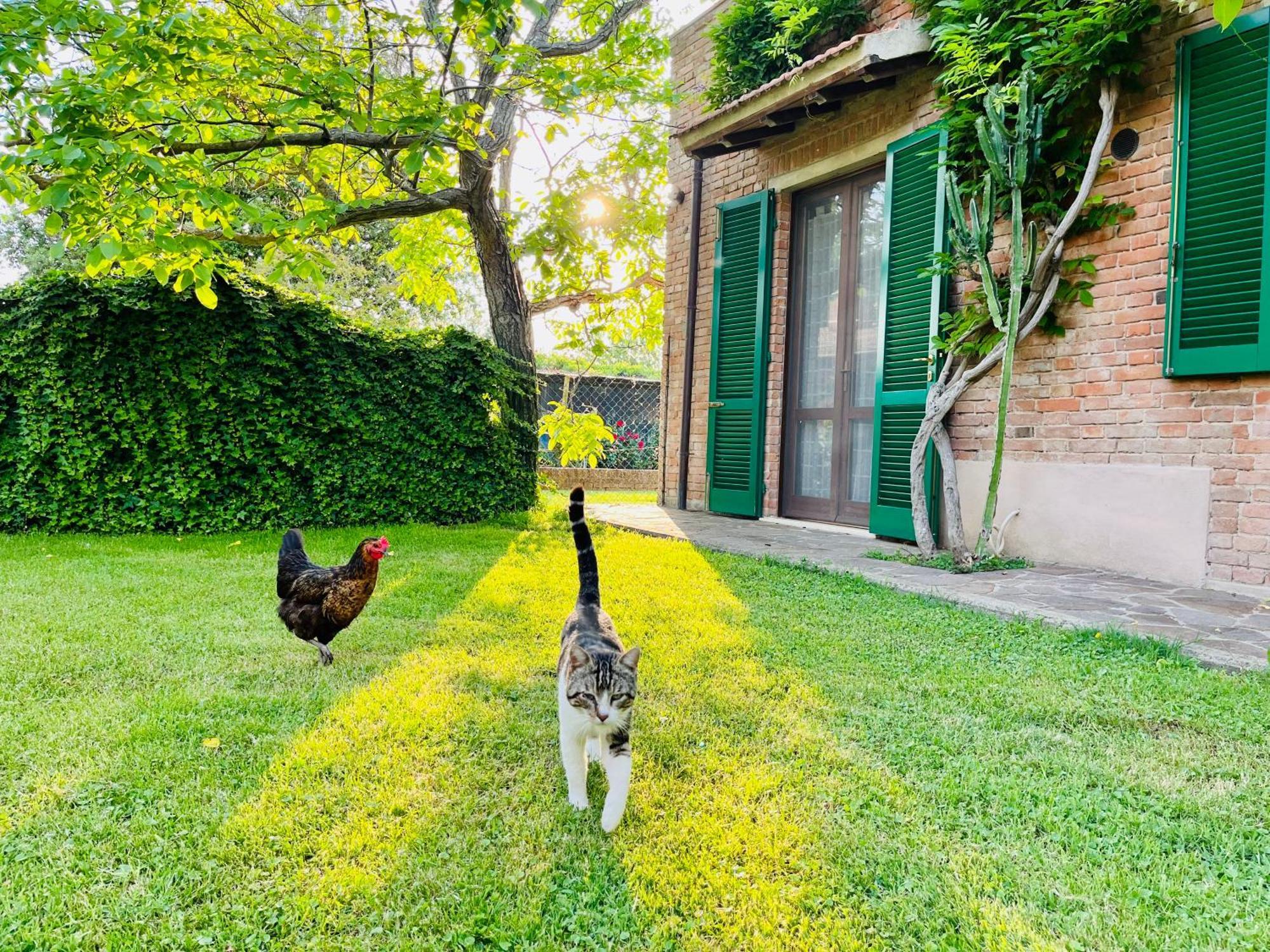 Agriturismo Salcino Grosseto Exterior foto